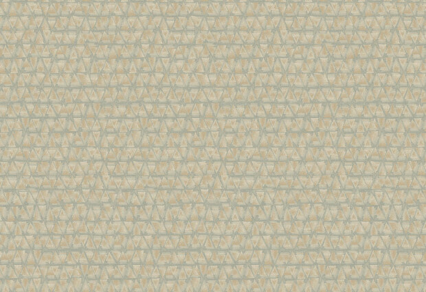 Hooked on Walls Academy Geometrico Phoenix 25641
