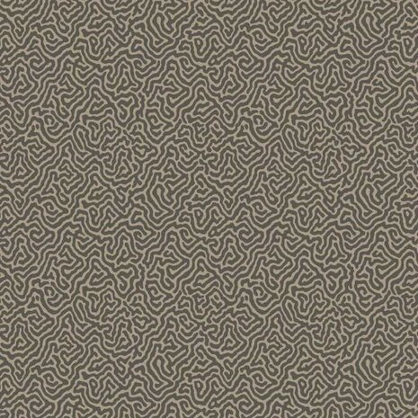 Cole & Son Curio Vermicelli 107/4017
