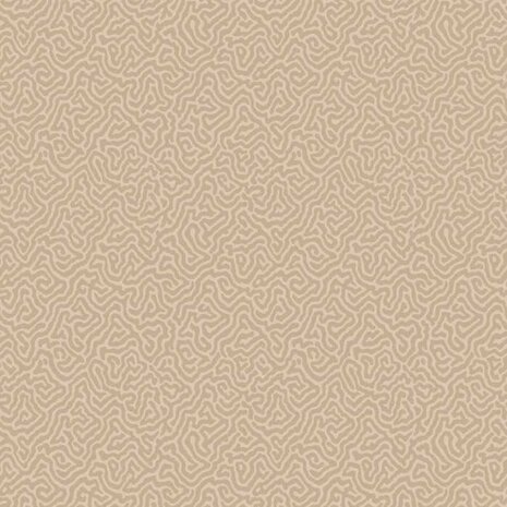 Cole & Son Curio Vermicelli 107/4019