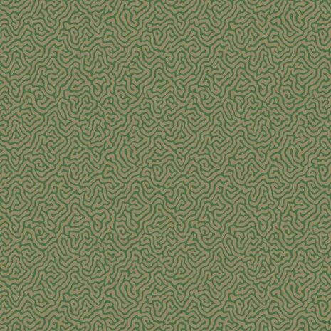 Cole & Son Curio Vermicelli 107/4022