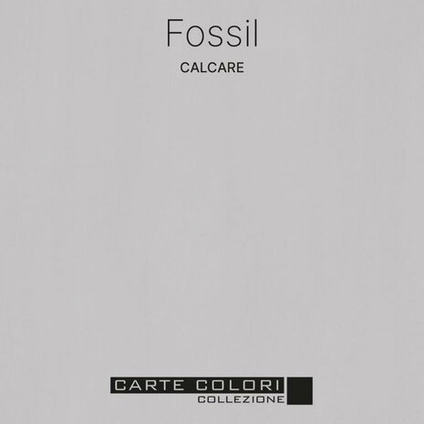 Carte Colori Calcare Kalkverf Fossil