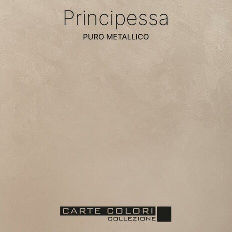 Carte Colori Puro Metallico Paint Principessa CC070