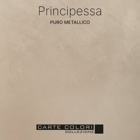 Carte Colori Puro Metallico Paint Principessa CC070