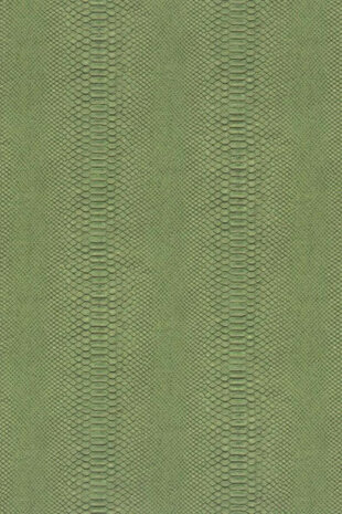 Hooked on Walls Material Matters Python 24720