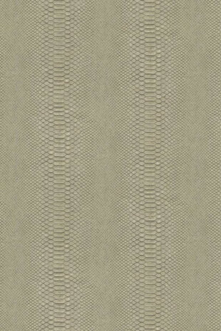 Hooked on Walls Material Matters Python 24721