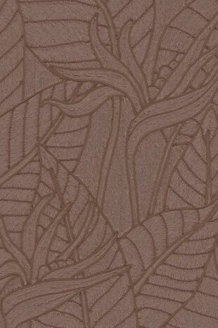 Strelitzia Hickory 60743