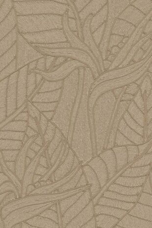 Strelitzia Hemp 60747