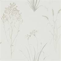 Sanderson Farne Grasses Silver Ivory 216487