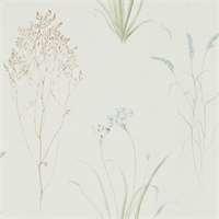 Sanderson Farne Grasses Cream Sage 216486