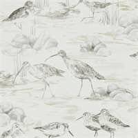 Sanderson Estuary Birds Chalk Sepia 216493