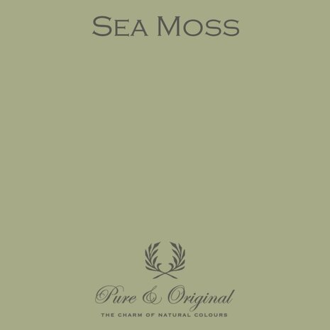 Pure & Original Carazzo Sea Moss