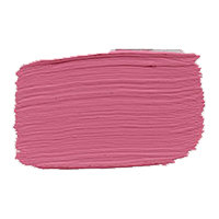 Carte Colori proefpotje Krijtverf Pink