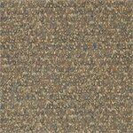 Zoffany Icarus Copper Pheasant 312674 