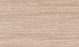 Arte Expedition Tasar 72022