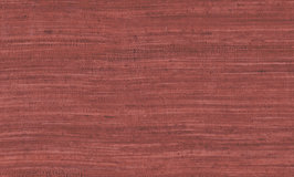 Arte Expedition Tasar 72030