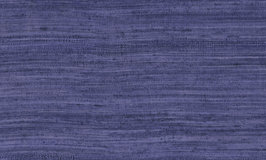 Arte Expedition Tasar 72038