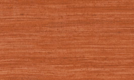 Arte Expedition Tasar 72036