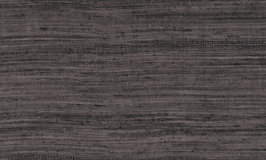 Arte Expedition Tasar 72034