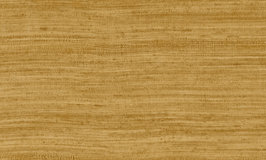 Arte Expedition Tasar 72026