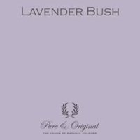 *Pure & Original Marrakech Walls Lavender Bush