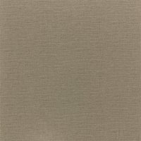 Anthology 04 Viso Old Gold 111326