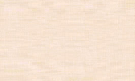 Arte Manila Tulle Cream 73083A