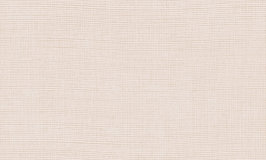 Arte Manila Tulle Bone 73084A