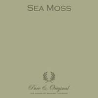 Pure & Original High Gloss Sea Moss
