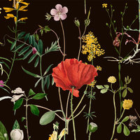 Mind The Gap Aquafleur WP20173