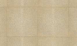 Arte Shagreen 85520 Sand