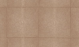 Arte Shagreen 85522 Rose Brown