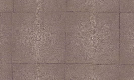 Arte Shagreen 85527 Brown Taupe