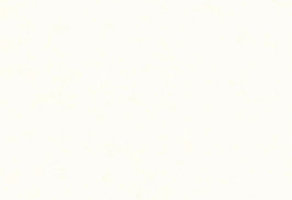 Hooked on Walls Caribbean Tuvalu 27251