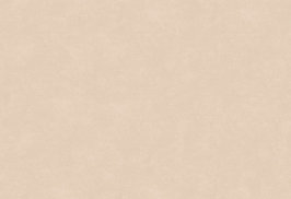 Hooked on Walls Caribbean Tuvalu 27252