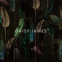 Daisy James behang The Zircon