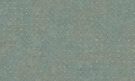 Arte Kerala Unito Bangalore 5631