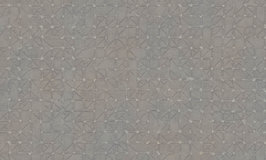 Arte Kerala Unito Bangalore 5632