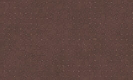 Arte Kerala Unito Bangalore 5633