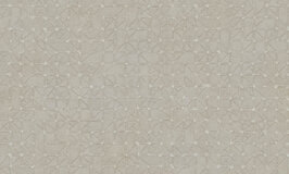 Arte Kerala Unito Bangalore 5634