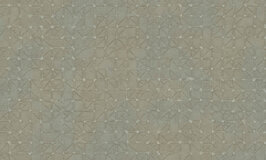 Arte Kerala Unito Bangalore 5636