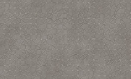 Arte Kerala Unito Bangalore 5638