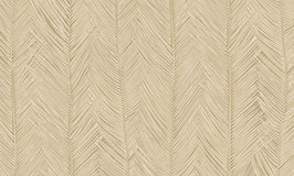 Arte Monsoon 2.0  Itaya Coquille 75401