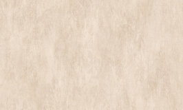 Arte Essentials Palette Manchas Champagne 57528A 