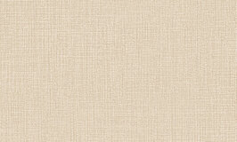 Arte Essentials Palette Tela Ivory 57501