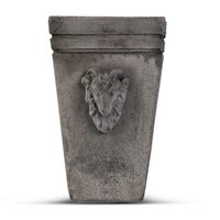 Il Cupido Vaas Strak 2027