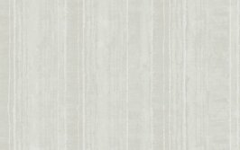 TEXAM  Metal Silk Line 12