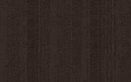 TEXAM  Metal Silk Line 17