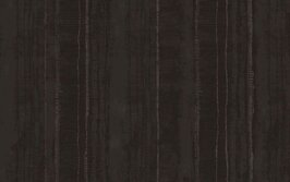 TEXAM  Metal Silk Line 18