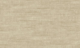 Arte Textura  Canvas Straw 24508A