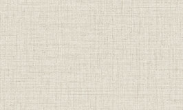 Arte Textura Puro Mushroom 27000